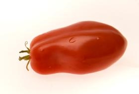 San Marzano