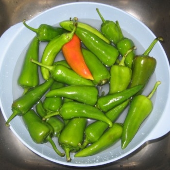 Peperoncino verde friariello